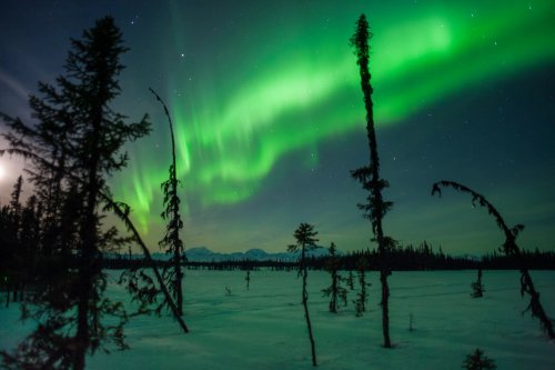 Aurora & Night Sky
