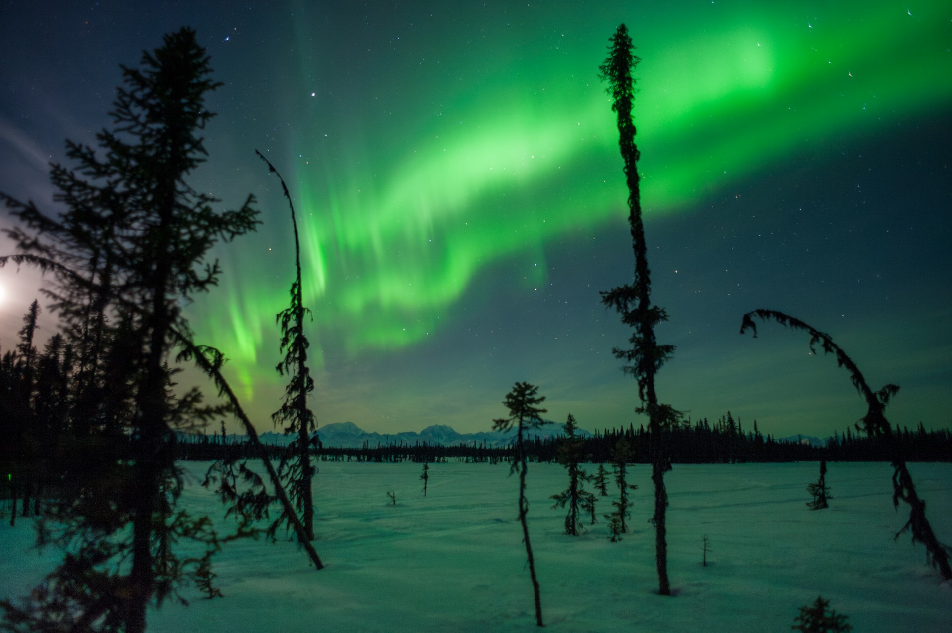 Aurora borealis over Denali and the Alaska Range from Petersville.